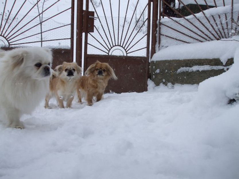 Winter in Matysova 2012